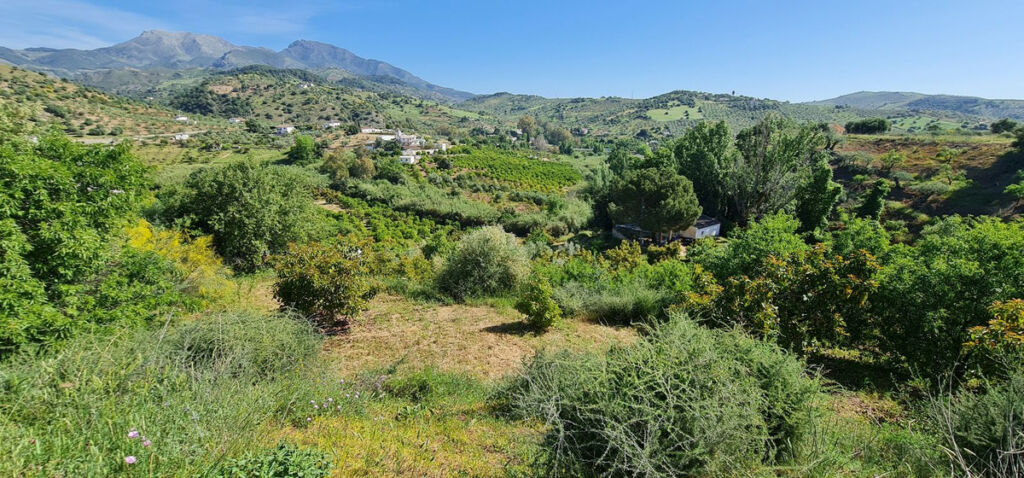 Detached Villa Tolox Málaga - zdjęcie 5