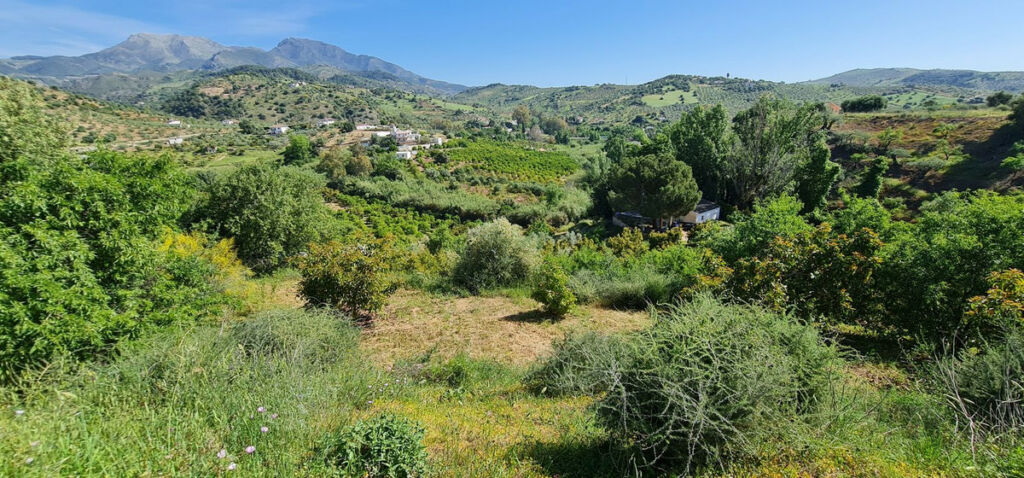 Detached Villa Tolox Málaga - zdjęcie 7