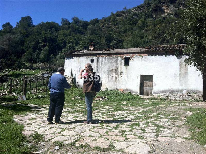Land Gaucín Málaga - imagen 7