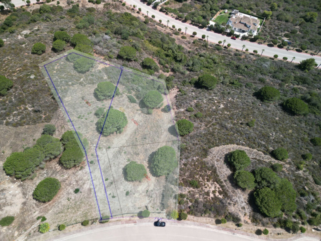 Land Sotogrande Alto Cádiz - imagen 9