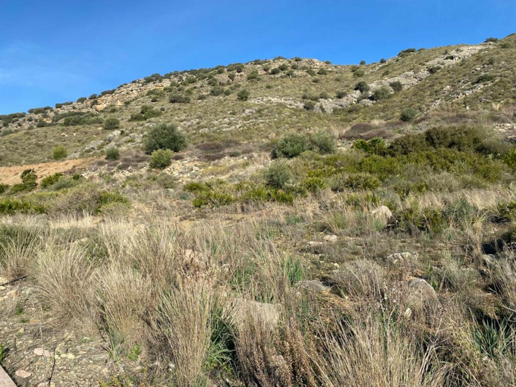 Residential Plot Coín Málaga - zdjęcie 3
