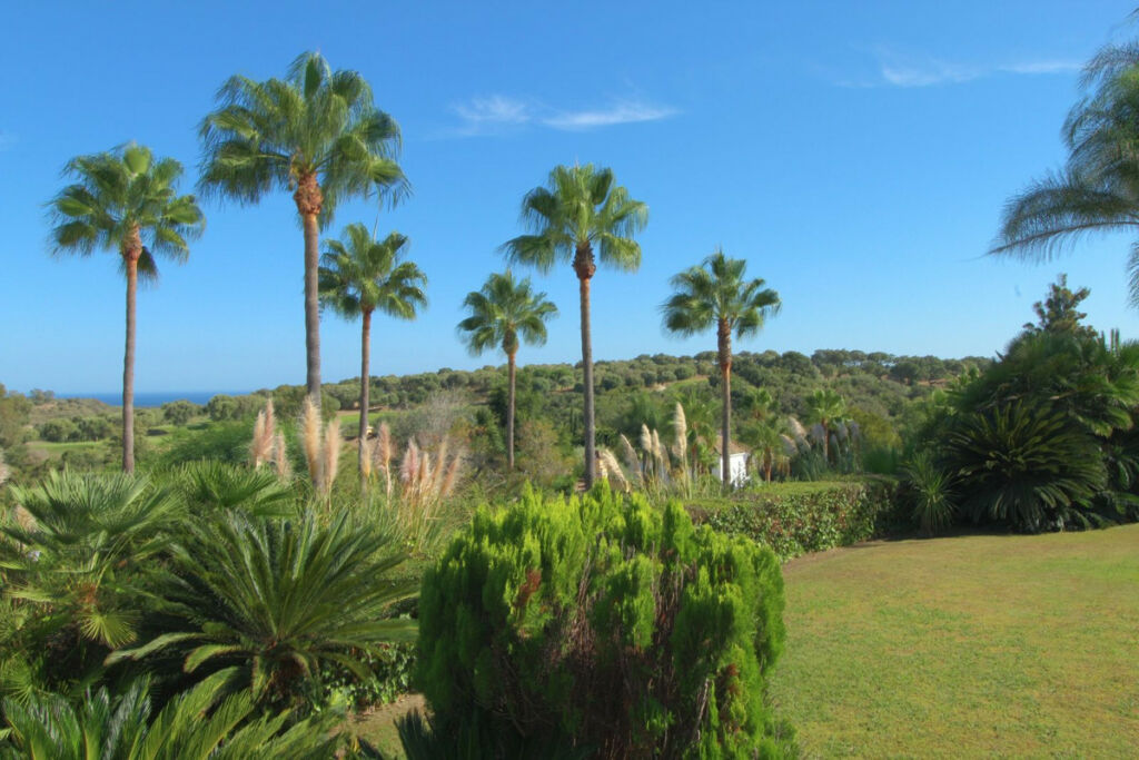 Detached Villa Sotogrande Alto Cádiz - zdjęcie 34
