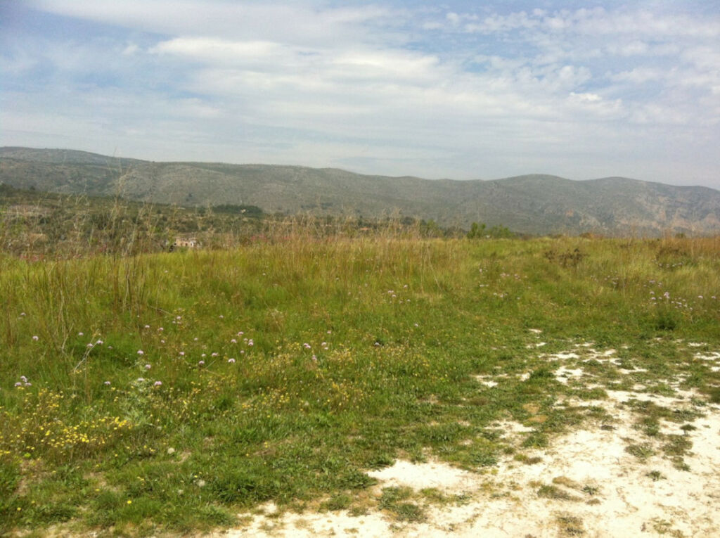 Land Benissa Alicante - imagen 2