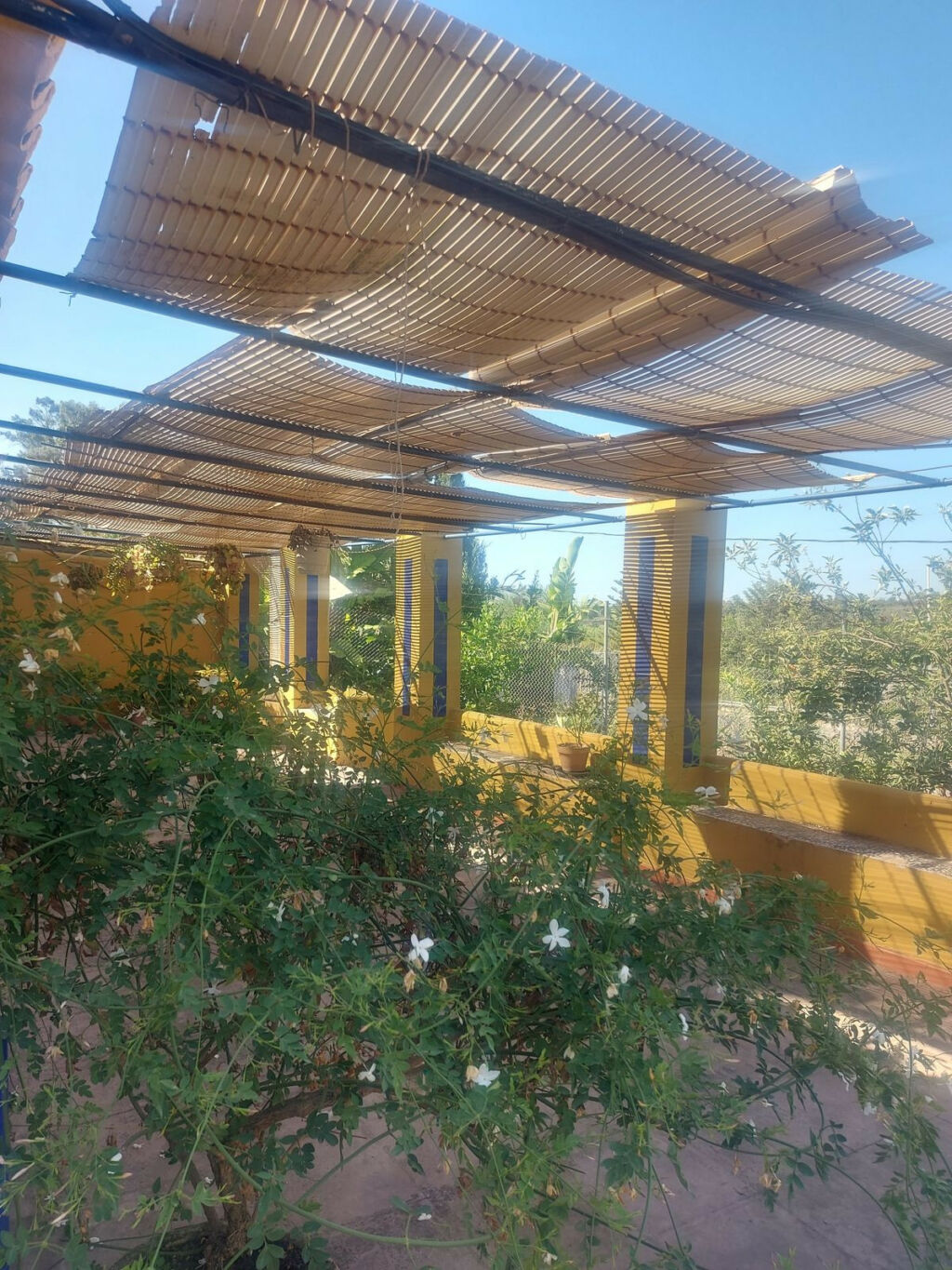 Finca - Cortijo San Enrique Cádiz - zdjęcie 2