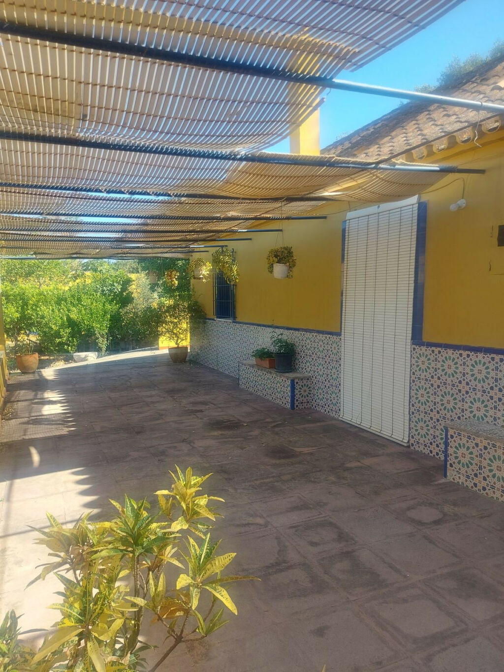 Finca - Cortijo San Enrique Cádiz - zdjęcie 3