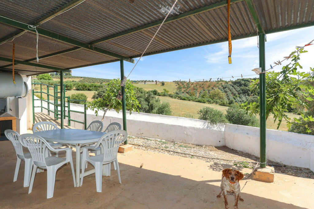 Detached Villa Casarabonela Málaga - imagen 28
