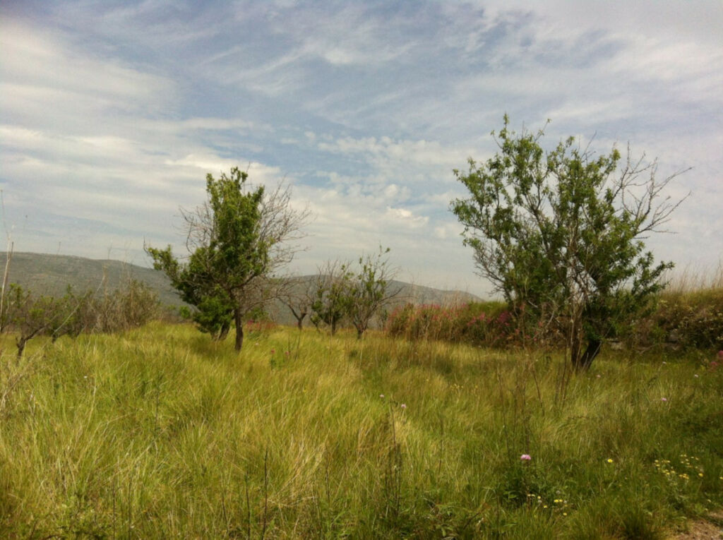 Land Benissa Alicante - imagen 4