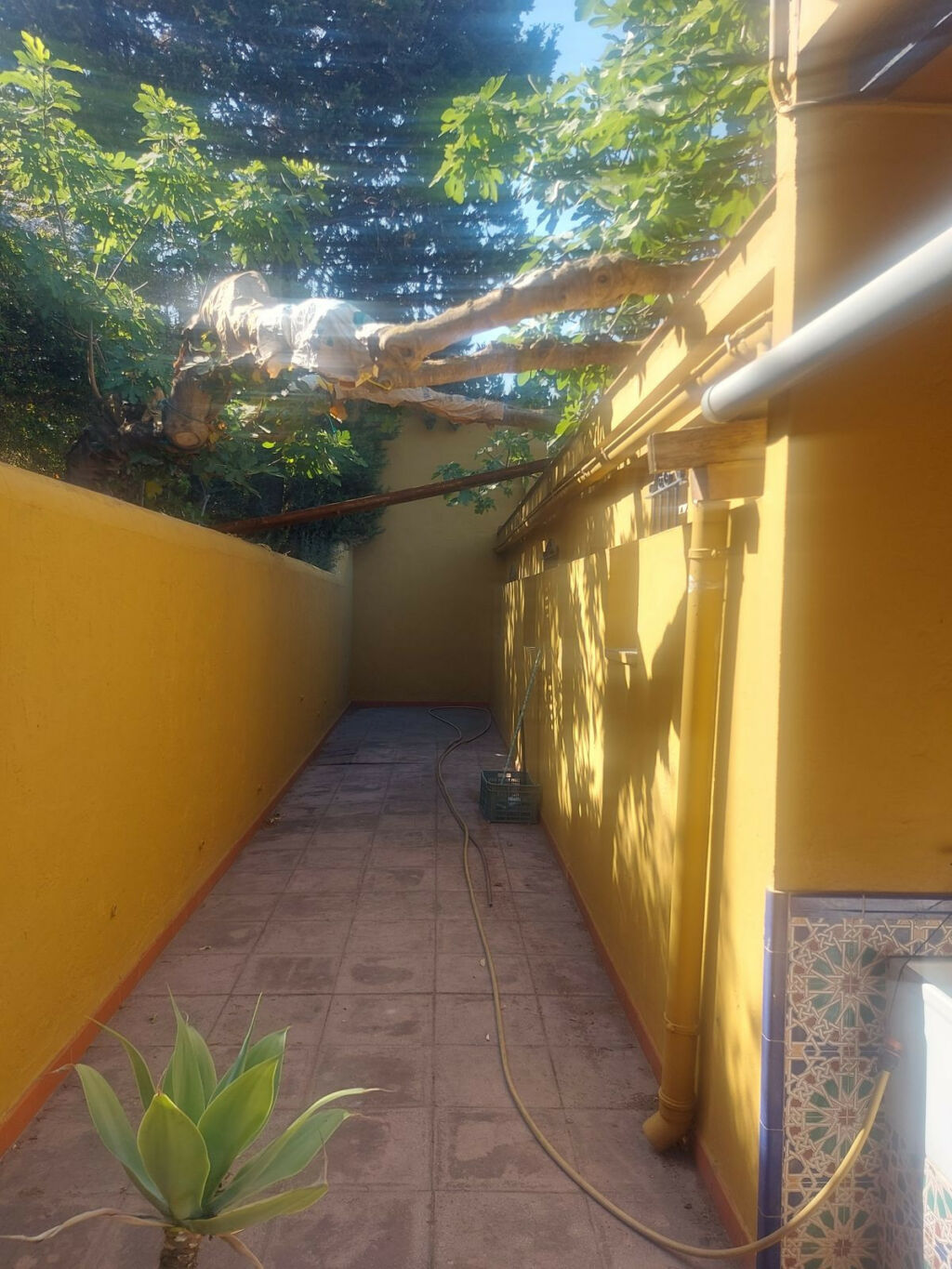 Finca - Cortijo San Enrique Cádiz - zdjęcie 5