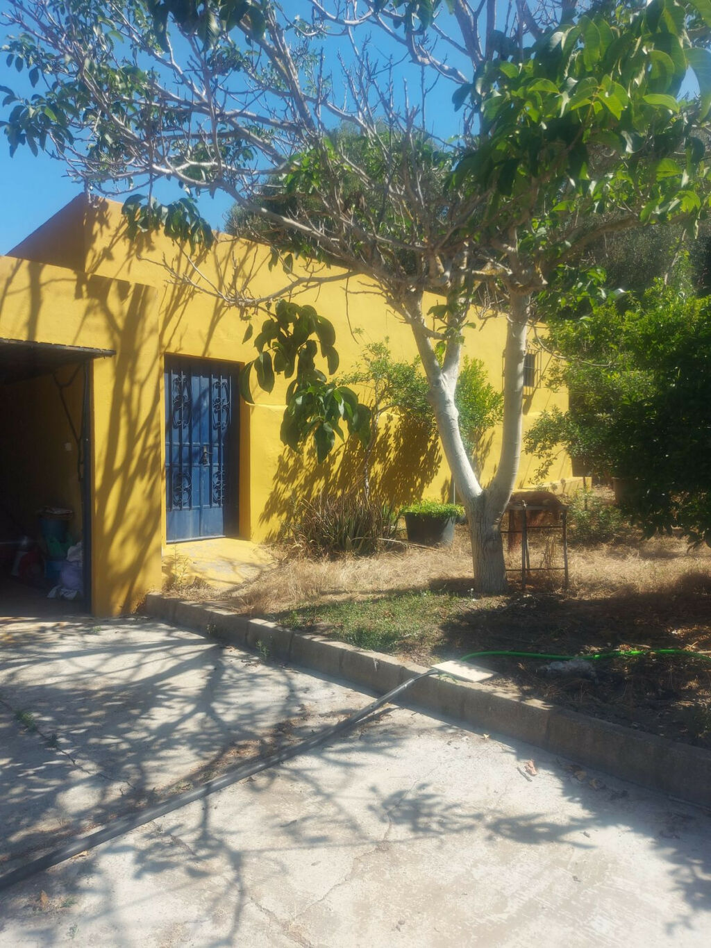 Finca - Cortijo San Enrique Cádiz - zdjęcie 7