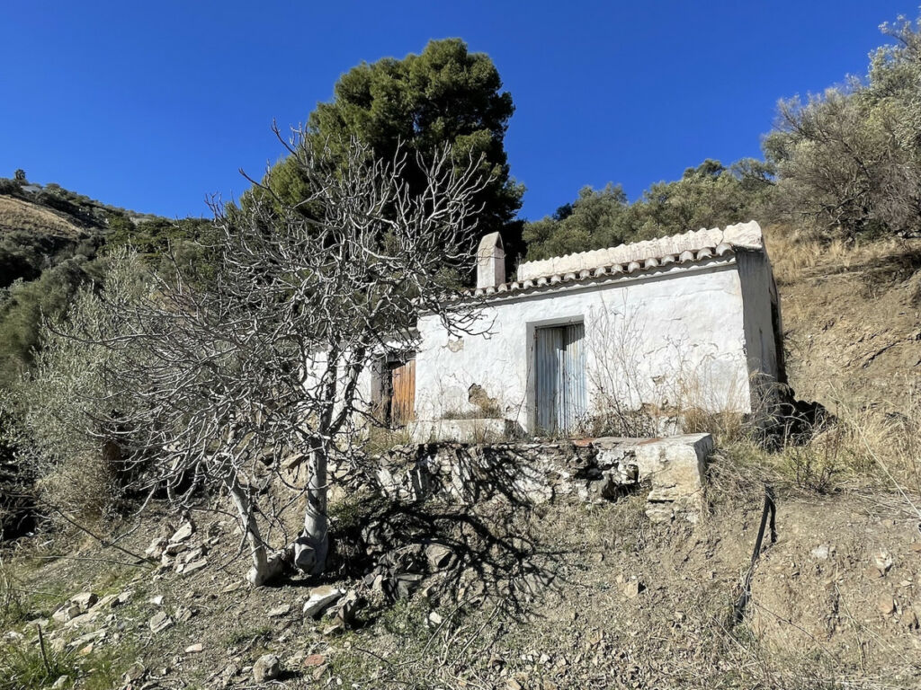 Land with Ruin Frigiliana Málaga - Bild 8
