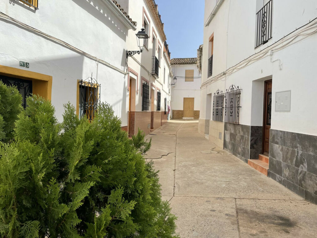 Townhouse Benaoján Málaga
