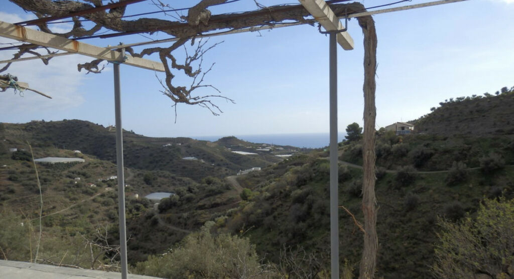 Finca - Cortijo Torrox Málaga - imagen 5