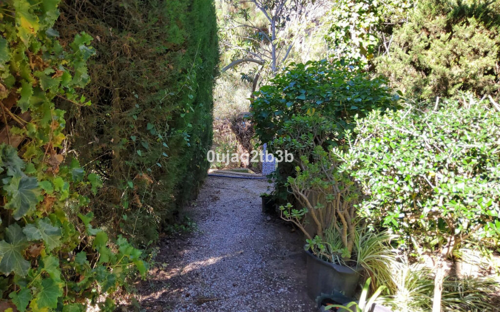 Finca - Cortijo Mijas Málaga - imagen 14
