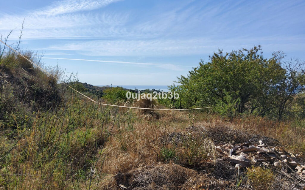 Finca - Cortijo Mijas Málaga - imagen 15