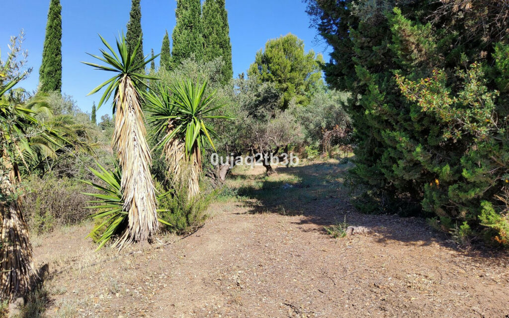 Finca - Cortijo Mijas Málaga - imagen 16