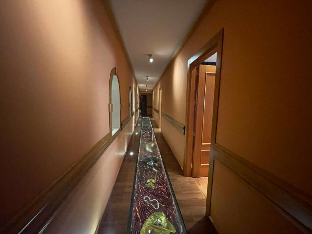 Hotel Alhaurín el Grande Málaga - imagen 19