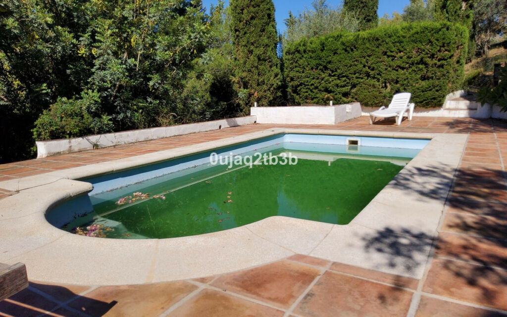 Finca - Cortijo Mijas Málaga - imagen 20