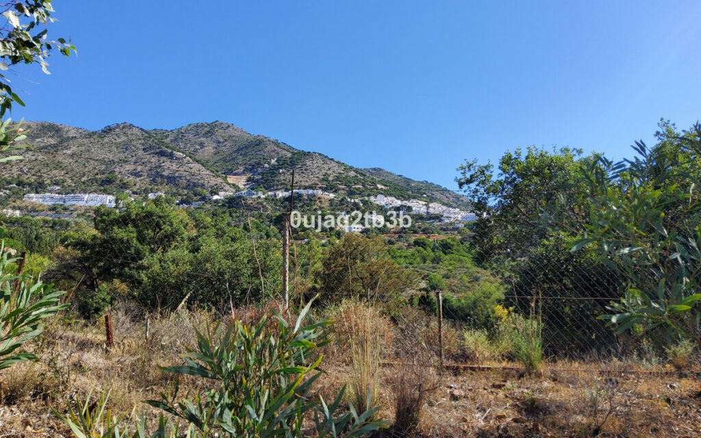 Finca - Cortijo Mijas Málaga - imagen 23