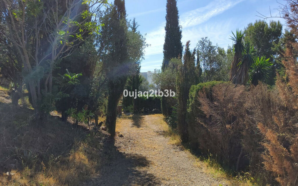 Finca - Cortijo Mijas Málaga - imagen 24