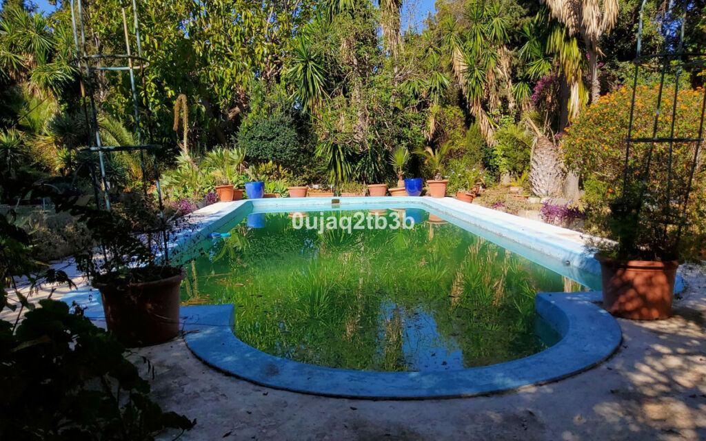 Finca - Cortijo Mijas Málaga - imagen 4
