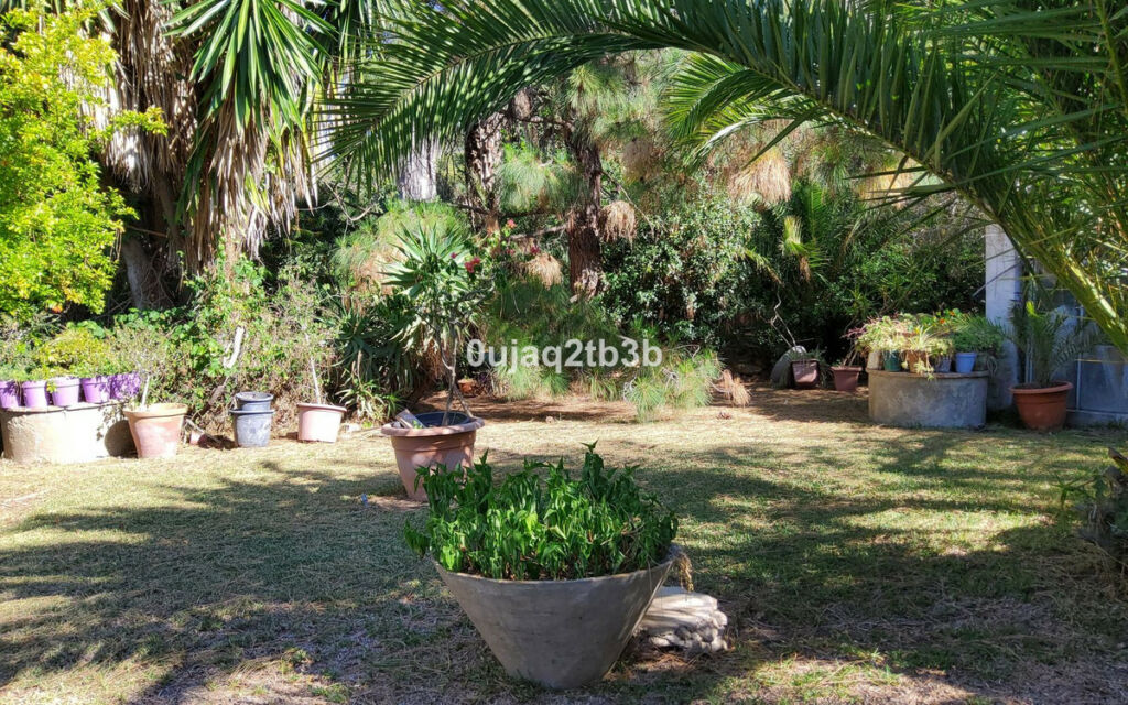 Finca - Cortijo Mijas Málaga - imagen 6