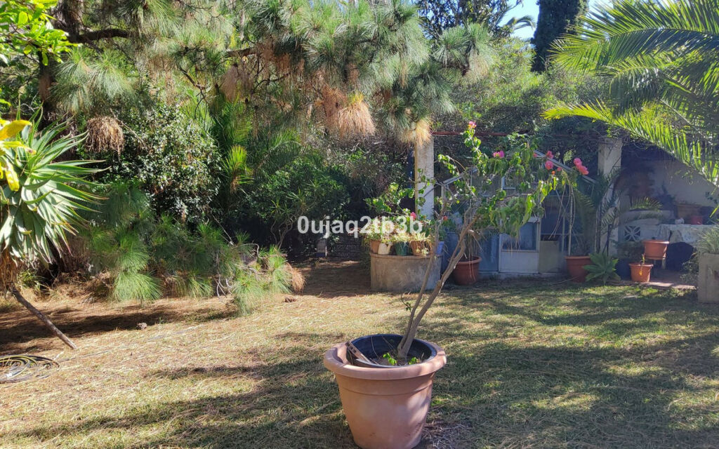 Finca - Cortijo Mijas Málaga - imagen 7