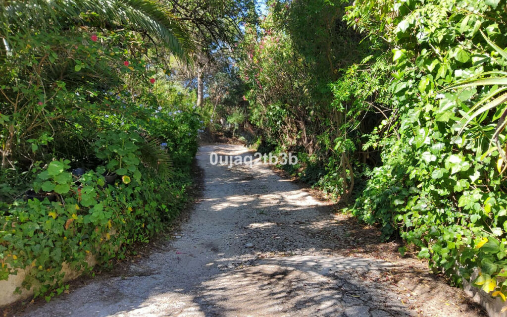 Finca - Cortijo Mijas Málaga - imagen 9
