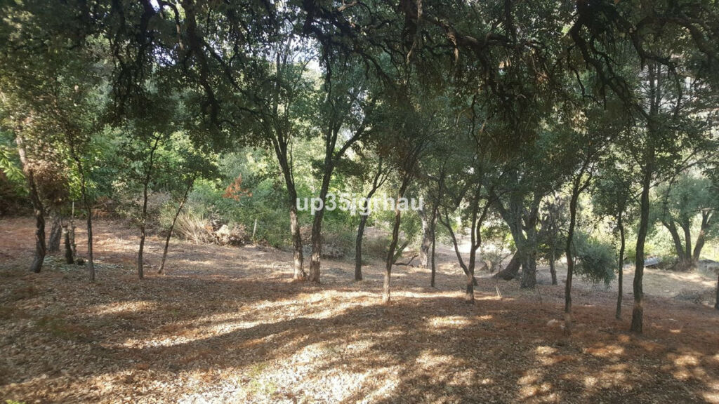 Land Genalguacil Málaga - image 8