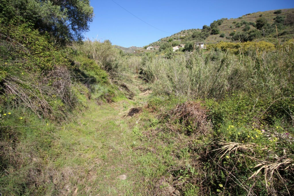 Land Torrox Málaga - imagen 10