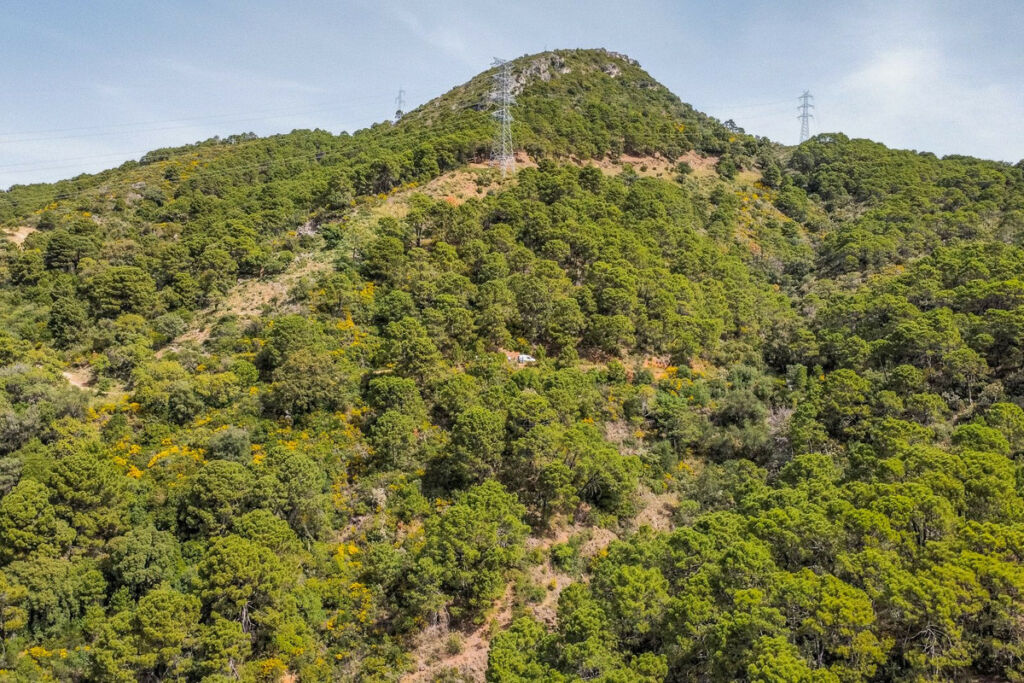 Land Benahavís Málaga - imagen 10