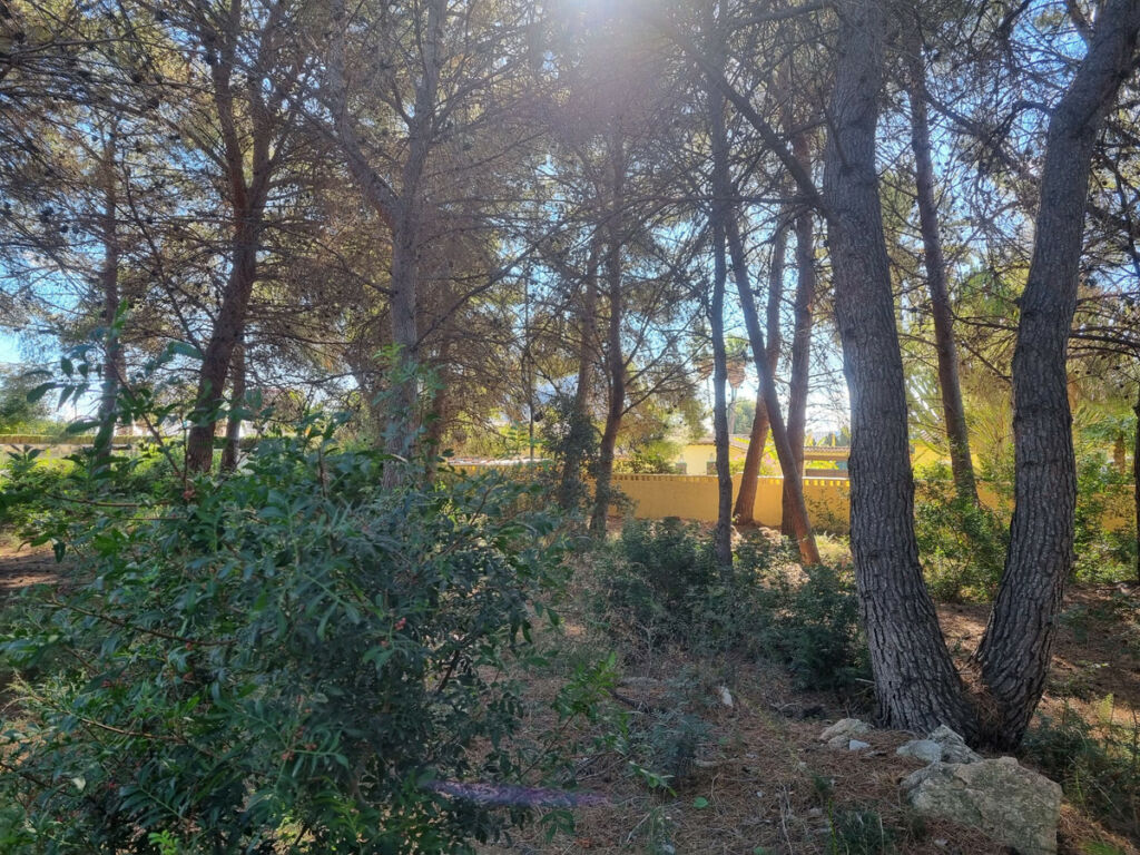 Land Calpe Alicante - imagen 10