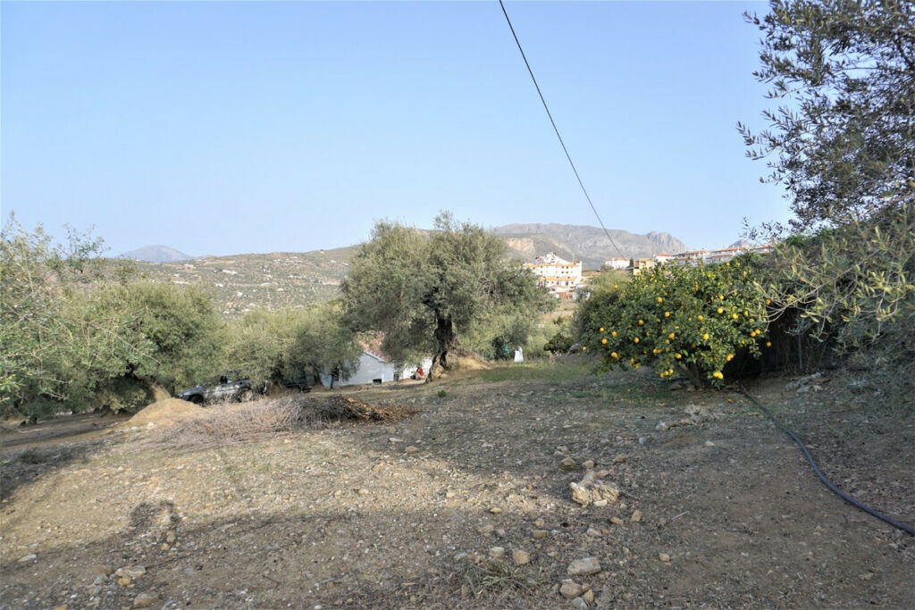 Finca - Cortijo Alcaucín Málaga - Bild 10