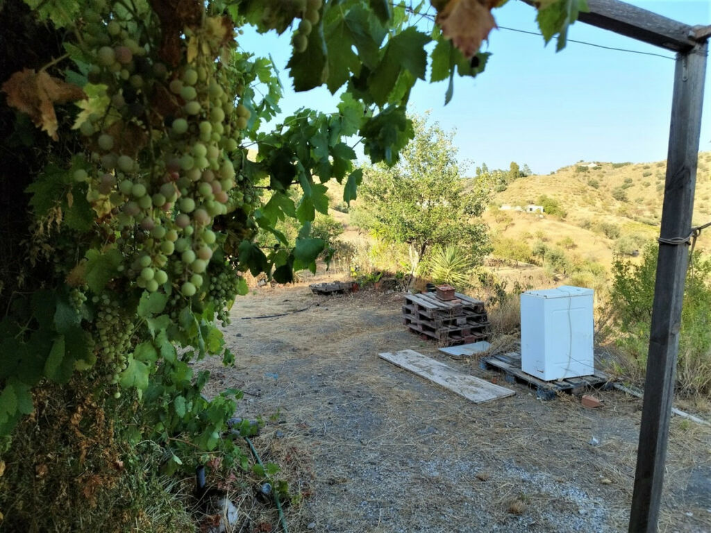 Finca - Cortijo Canillas de Aceituno Málaga - Bild 10