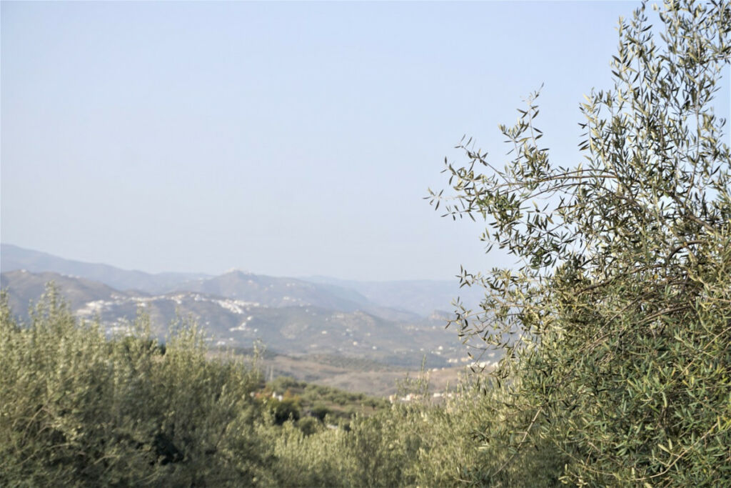 Finca - Cortijo Alcaucín Málaga - Bild 12