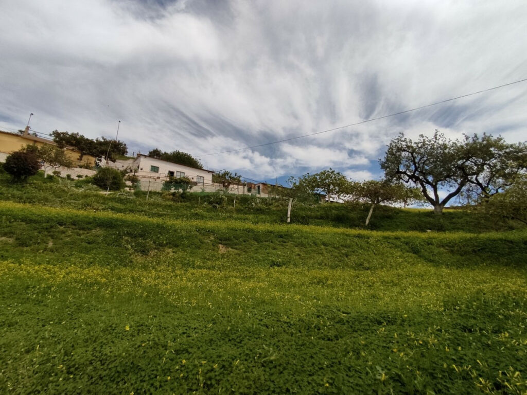Detached Villa Vélez-Málaga Málaga - imagen 12