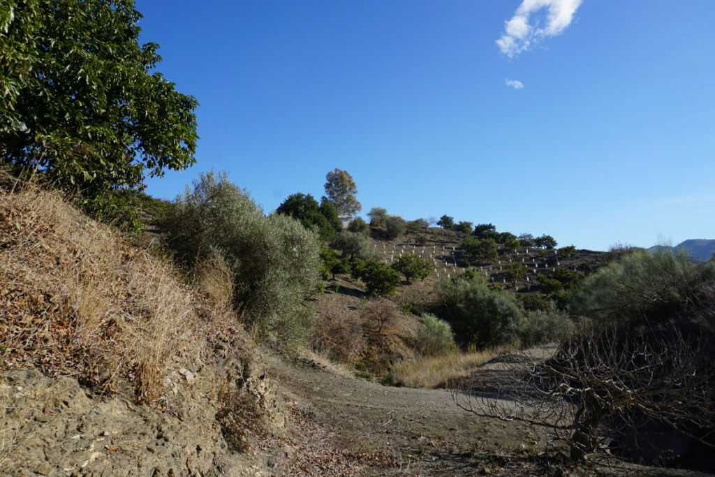 Finca - Cortijo La Viñuela Málaga - Bild 12