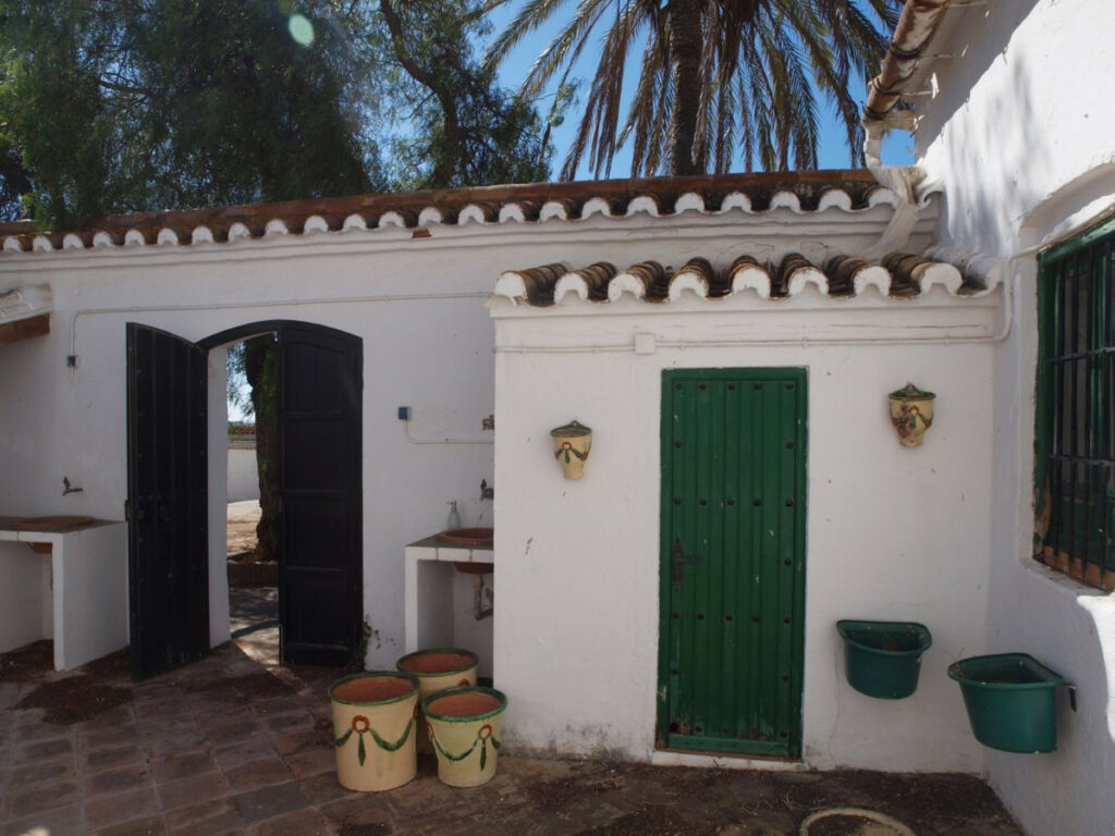 Finca - Cortijo Almayate Málaga - Bild 12