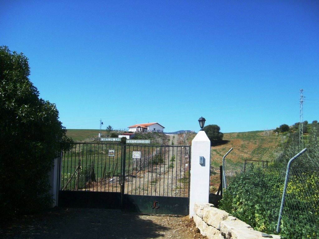 Finca - Cortijo Alora Málaga - Bild 14