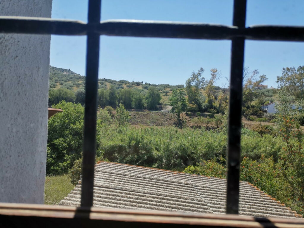 Finca - Cortijo Alcaucín Málaga - imagen 14