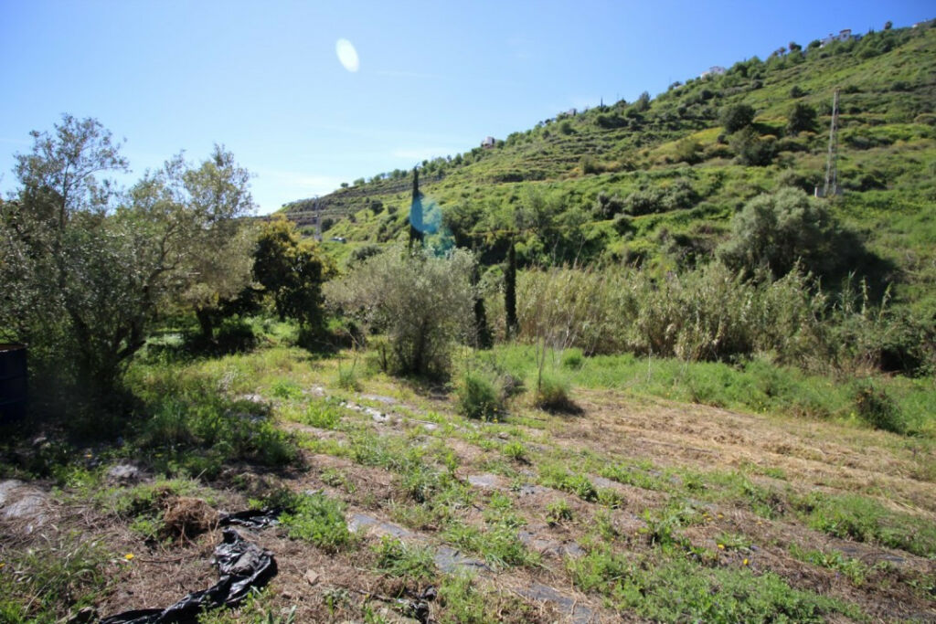 Land Torrox Málaga - imagen 14