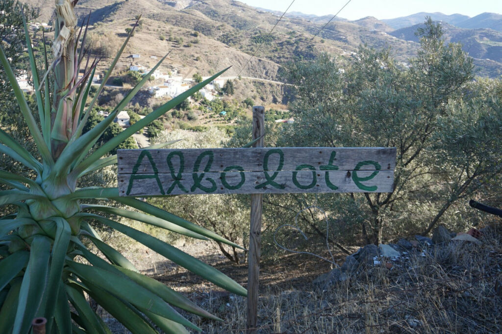 Finca - Cortijo La Viñuela Málaga - Bild 15