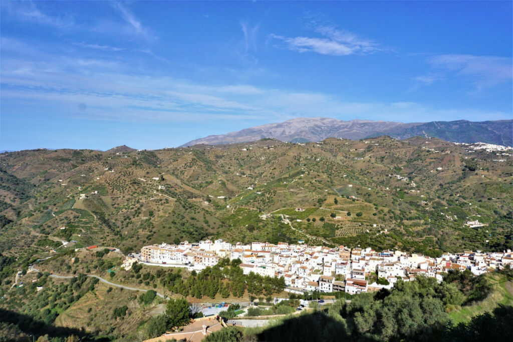 Detached Villa Sayalonga Málaga - imagen 15