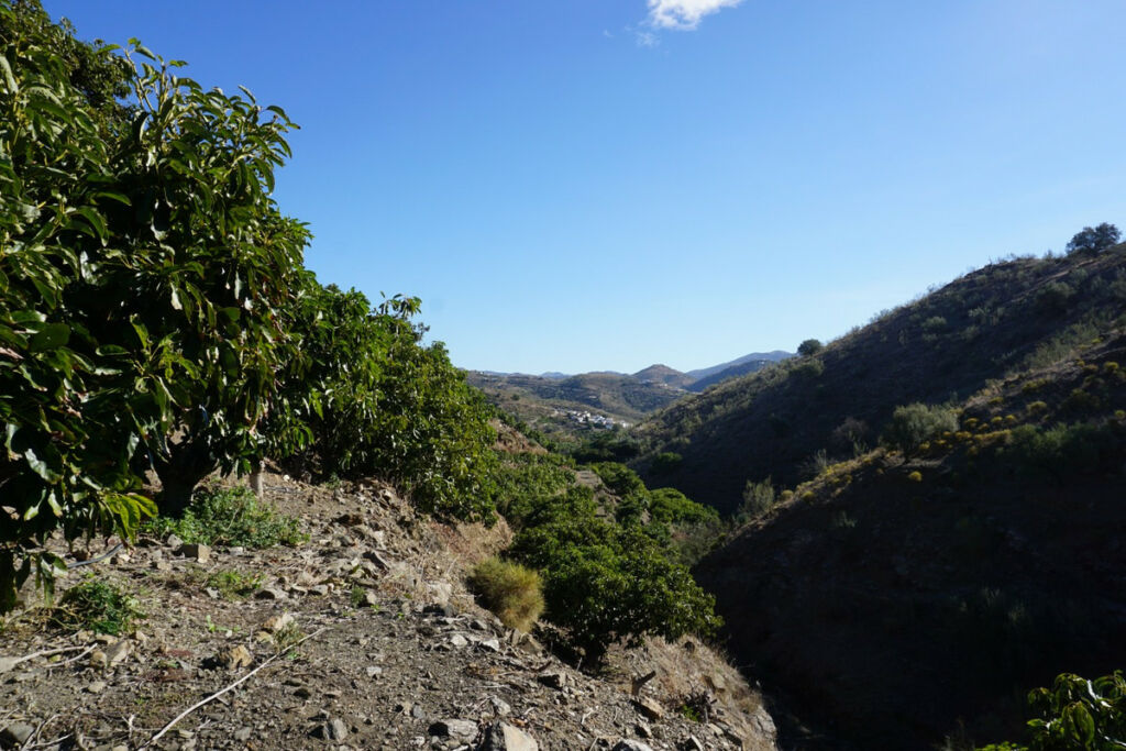Finca - Cortijo La Viñuela Málaga - Bild 16