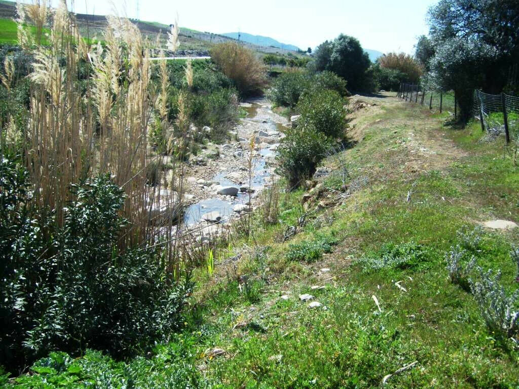 Finca - Cortijo Alora Málaga - Bild 16