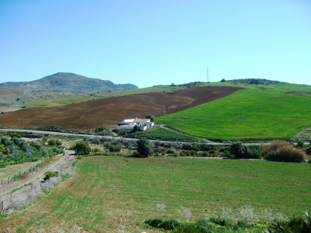 Finca - Cortijo Alora Málaga - Bild 17