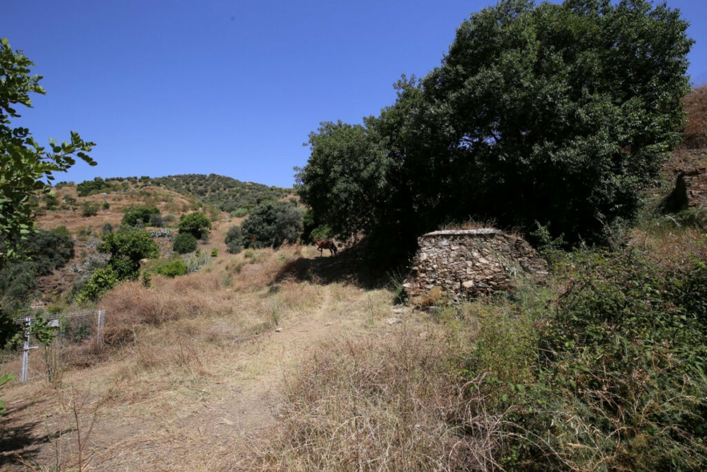 Land Totalán Málaga - imagen 18