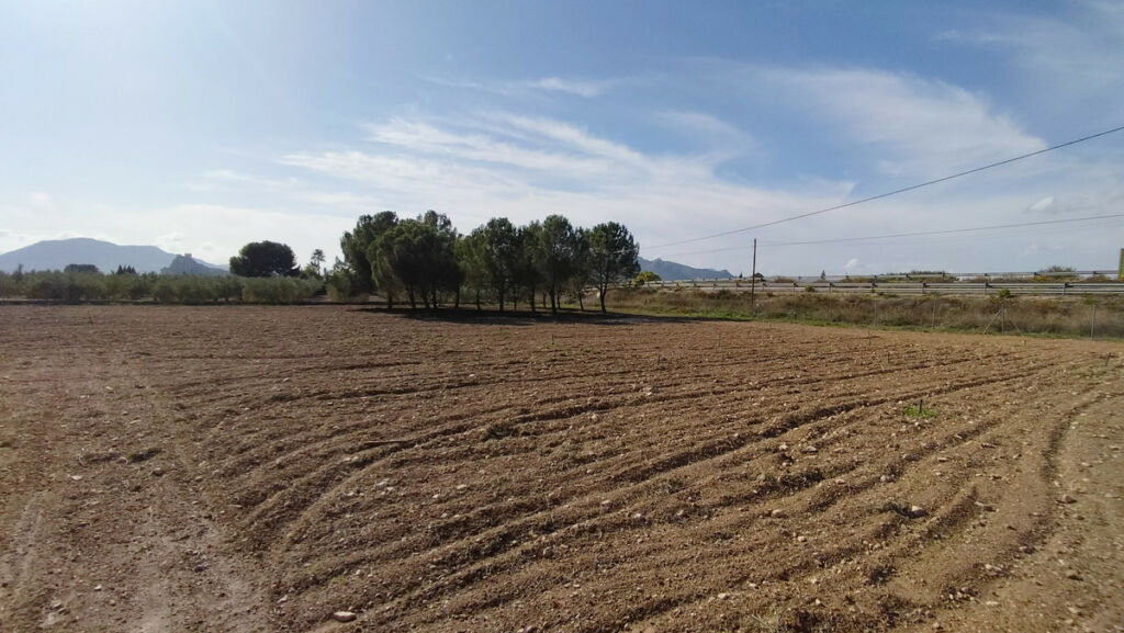 Detached Villa Sax Alicante - imagen 18