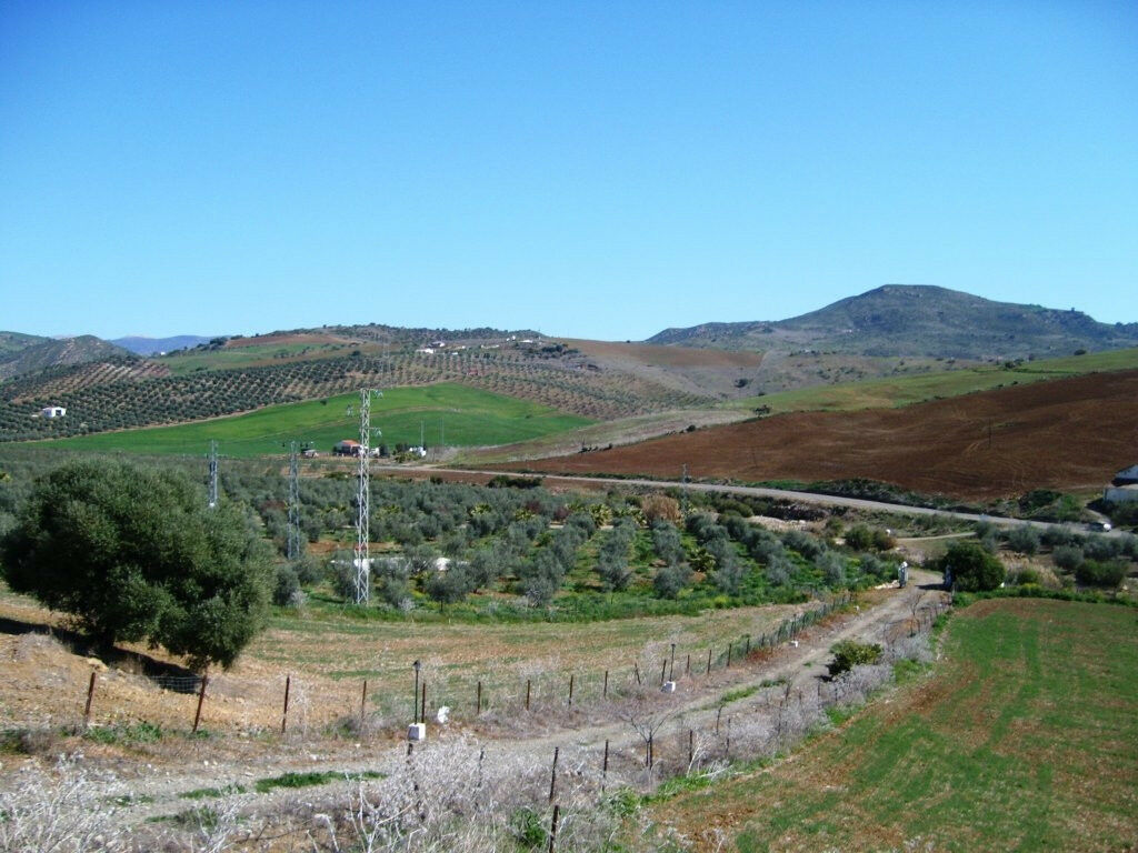 Finca - Cortijo Alora Málaga - Bild 19