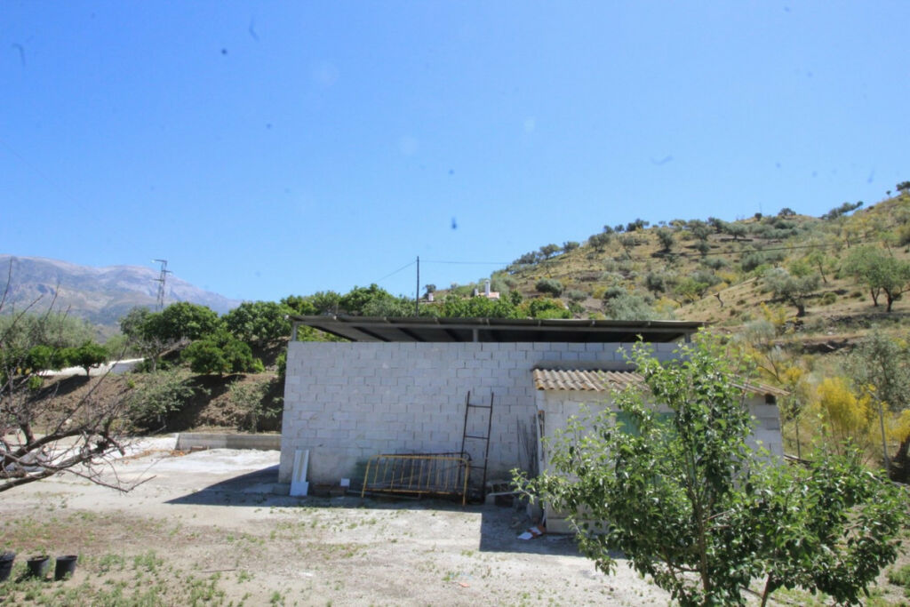 Finca - Cortijo Canillas de Aceituno Málaga - imagen 19