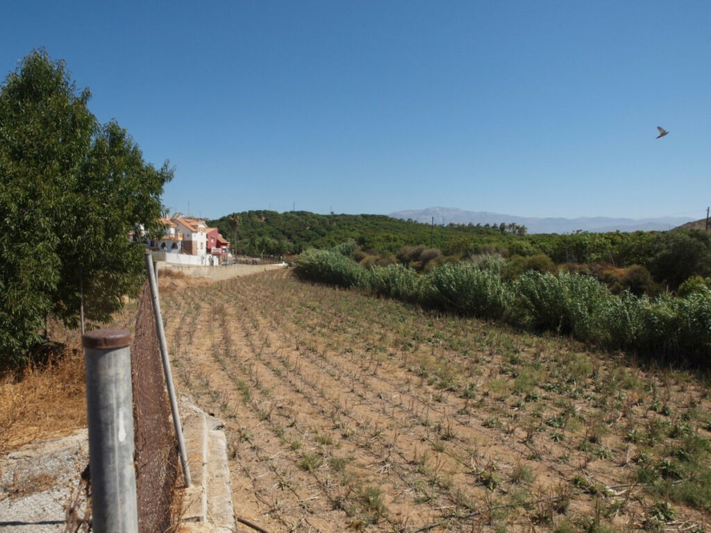 Finca - Cortijo Almayate Málaga - Bild 19